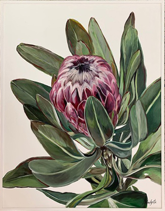 Z Large Protea I - Gallery 360